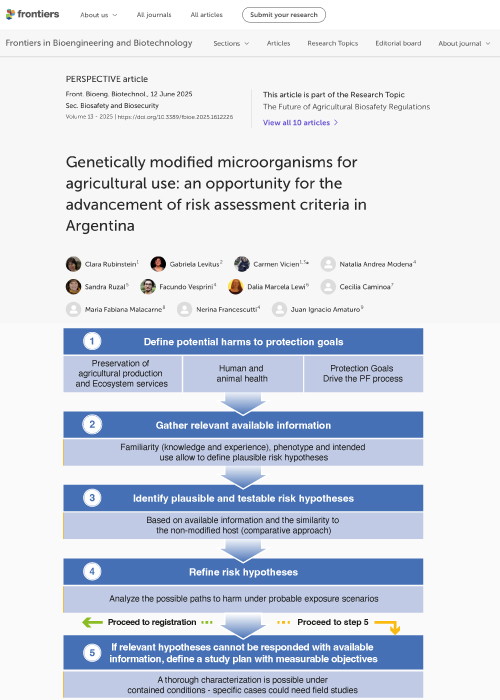 <strong>Microorganismos genéticamente modificados para uso agrícola:</strong> una oportunidad para el avance de criterios para evaluación de riesgo en Argentina