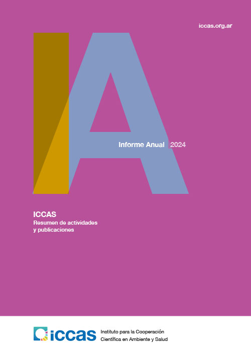 <strong>ICCAS 2024</strong> Resumen de actividades y publicaciones. Diciembre 2024