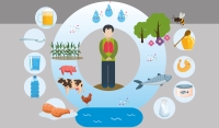 Día Mundial del Medioambiente