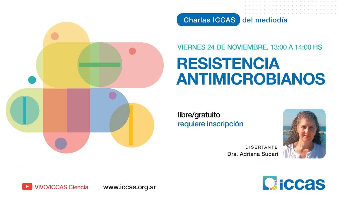 Actualidad Institucional