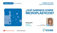 Charla ICCAS del Mediodía en junio: ¿Qué sabemos sobre microplásticos?